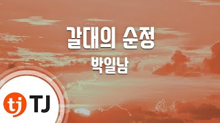 [TJ노래방 / 여자키] 갈대의순정 - 박일남 / TJ Karaoke