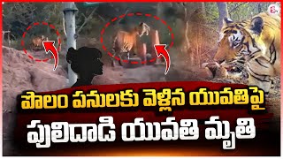 పొలం పనులకు వెళ్లిన పెద్దపులి ..| Latest News Updates @SumanTVUndi