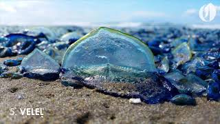 Oregon's 10 most amazing natural phenomena