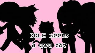 DDLC meets a uwu cat