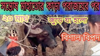 মানপুর আসরের ১নং কাড়া পরাজয়ের পর যা হল