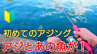 【アジング初心者】が初めてのアジングでアジ釣りに挑戦!アジとあの美味しい魚が連発!