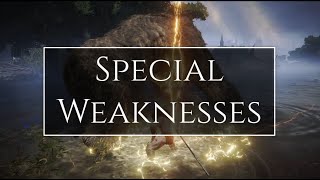 Special Weaknesses in Elden Ring | Quick Overview