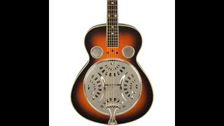 Rogue Classic Spider Resonator Guitar Deal!