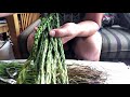 braiding sweetgrass