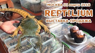 Выставка - продажа рептилий в Москве \