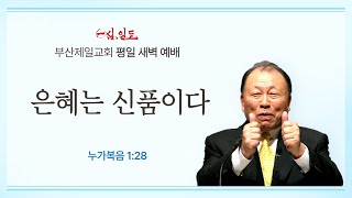 [4단계회개] 24년 11월 11일 월요일 새벽