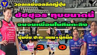 ชัชชุอร ทุบหนักขนาดนี้ จนเพื่อนในทีมตะลึง Himeji ชนะ PFU 3-0 เซต 13-10-2024