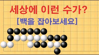 바둑 묘수 사활 - 세상에 이런 수가? 백을 잡아보세요