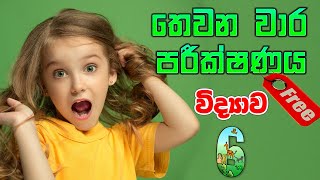 Grade 6 Science - අවසාන වාර පරීක්ෂණය (පේපරය නොමිලේ Download කරගන්න)