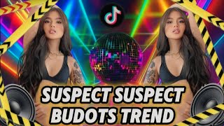 Suspect Suspect Budots Trend ( New TikTok Remix )( HundsUp X Wouble ) DjPauloRemix