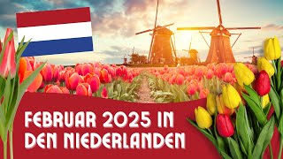 Die Niederlande im Februar 2025