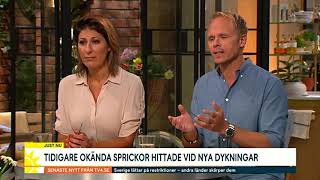 Estonia - Stora skador på skrovet - Nyhetsmorgon TV4 13 Juli 2021