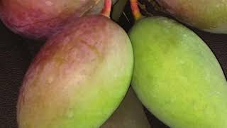 MANGO BURNS AND NATURAL  CURES