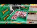 infeed synchronism for the flowpack packaging of apple trays with bf 325 h sincro plus