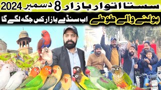 sunday birds market lahore 2024 | sunday birds market latest update