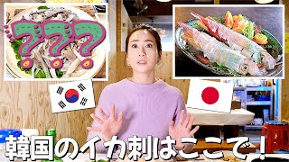 日本に負けず劣らず🇰🇷韓国のイカ刺🦑3000円でイカ＋アワビ＋ヒラメ刺＋タコ刺＋＋＋// 韓国旅行 モッパン 韓国人ヨンヘ