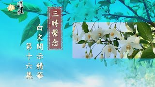 三時繫念白文開示精華第十六集｜一時佛在舍衛國。祇樹給孤獨園｜淨空老法師 主講