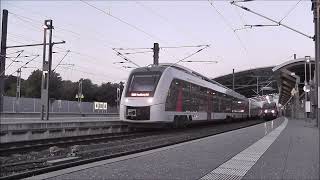 642 031/531 im Bahnhof Erfurt Hbf