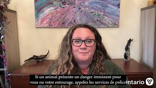 Que faire si je soupçonne un animal d’être atteint de la rage?