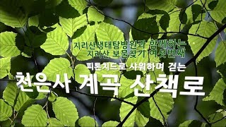 피톤치드로 샤워하며 걷는 천은사계곡 산책길( #지리산 보물찾기 6)