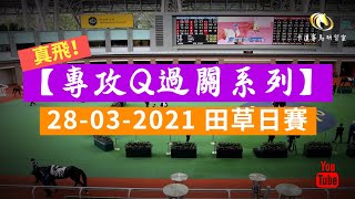 【真飛！專攻Q過關系列】精選連贏2X3過關｜2021-03-28 田草日賽｜賽事分析｜小本搏大堆｜卡達賽馬研習室