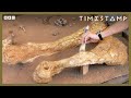 Unearthing The Bones of Greece’s Ancient ‘Giants’ | BBC Timestamp