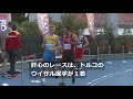 トルコに韋駄天ネコ、100ｍ走で選手の目の前を横切り疾走