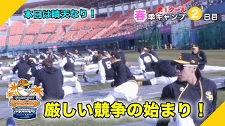 【続々】有原投手もブルペン入り！～宮崎春季キャンプ第1クール2日目～