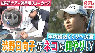 【渋野日向子が参戦】国内女子ゴルフ年内最終戦へ決意 猫へ餌やりでリラックスムード