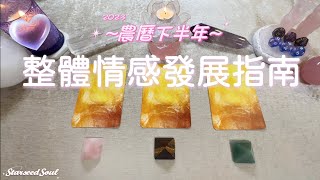 ❤️塔羅占卜| 2023農曆下半年的情感發展指南