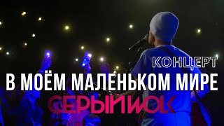 СЕРЫЙWOLK - В моём маленьком мире | Концерт