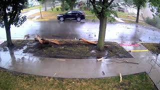 Pocahontas, Iowa Surveillance Cam Captures Lightning Strike Exploding Tree - 8/10/2020