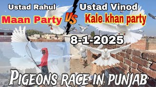 25-25 kabutar Pigeons Race in Punjab Maan party Vs Kale khan Party