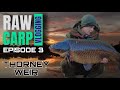 Raw Carp Vlogging - Thorney Weir | Episode 3 - Aaron Dodd