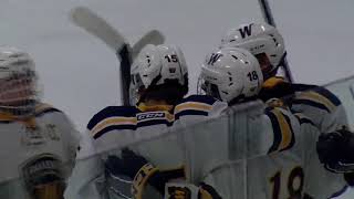 Wayzata tops AC Wings in 6AA quarterfinal