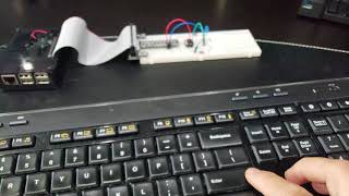 RaspberryPi led blinking controlled by push button switch