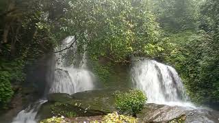 ಭಟ್ಕಳ to ಸಿಗಂದೂರು ಹೋಗುವ ರಸ್ತೆಯ ಪಕ್ಕದಲ್ಲಿ ಸಿಗುವ falls