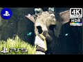 The Last Guardian (PS5) 4K ᵁᴴᴰ HDR Gameplay Ultra High Definition