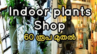 നിങൾ ഇതുവരെ കണ്ടിട്ടില്ലാത്ത indoor plants collection നമ്മുടെ തൃശ്ശൂരിൽ episode-1