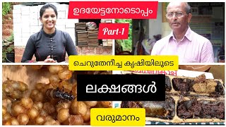 ചെറുതേനീച്ച കൃഷി /തേനീച്ച കൃഷി /krishi malayalam/harshas nest