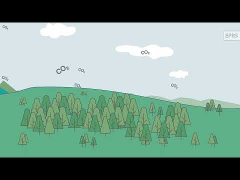 What are the two 2 most common land uses in Europe?