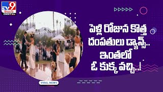 పెళ్లి రోజున కొత్త దంపతులు డ్యాన్స్..ఇంతలో ఓ కుక్క వచ్చి..! -TV9