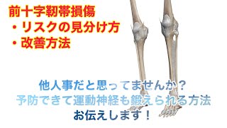 前十字靭帯損傷のリスクと改善法！運動神経は学べる時代！SHOZAP