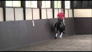 Mike Eilberg tactfully trains the 4 year old Rochelle TRAILER