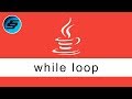 while loop - Java Programming