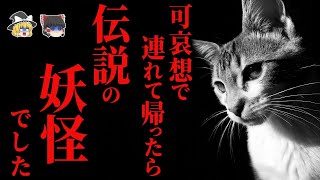 【ゆっくり怖話】『伝説の妖怪』に出会い、人生が変わった結果… 2chの怖い話「私が猫又に出会った話」【2ch怖いスレ】