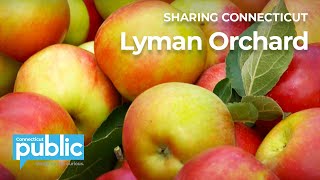 This Life Calls To Me: Lyman Orchard