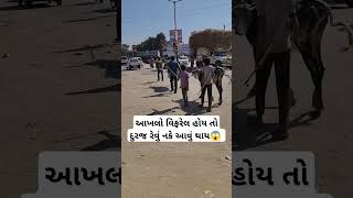 આખલો વિફરેલ હોય તો દુરજ રેવું નકે આવું થાય😱 #trending #viral #Reels #funny