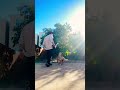 Bulldog vs Leaf blower